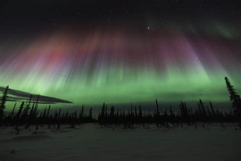 Get Mesmerized with the Northern Lights of Alaska | Found The World