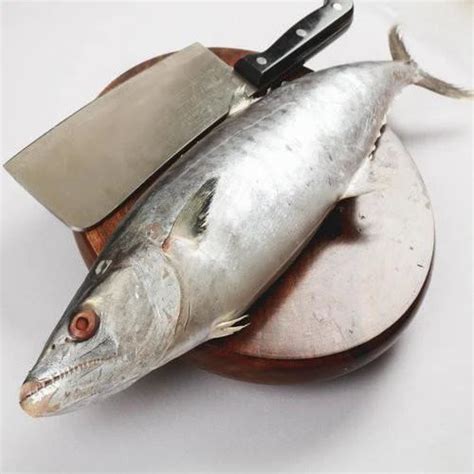 Fresh Seer Fish, For Restaurant And Household at Rs 450/kilogram in ...