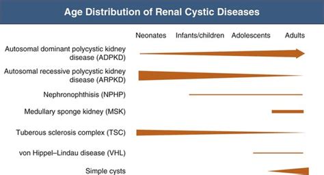 Other Cystic Kidney Diseases | Abdominal Key