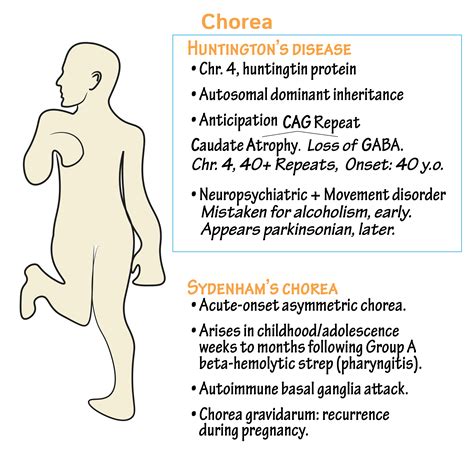 Neuroanatomy Glossary: Huntington's Disease | ditki medical ...