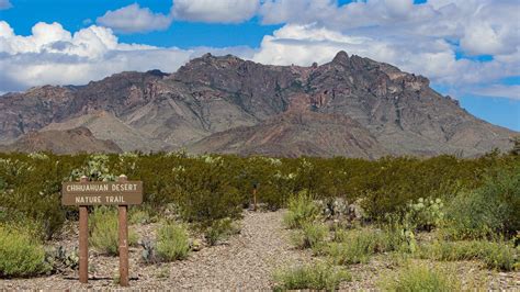 Chihuahuan Desert Nature Trail (U.S. National Park Service)