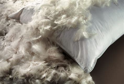 7 Best Feather Pillows Reviewed in Detail (Fall 2023)