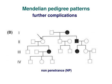 PPT - Lesson 2 Monogenic disorders Mendelian inheritance PowerPoint ...