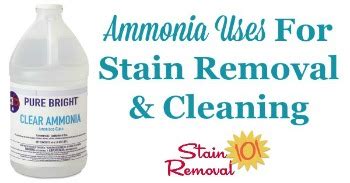 Non Sudsing Ammonia Brands - All purpose cleaner like clear ammonia but ...