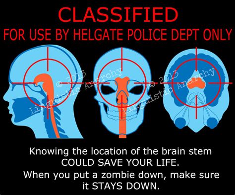 Brain Stem Diagram 2 by theGhostWolfe on DeviantArt