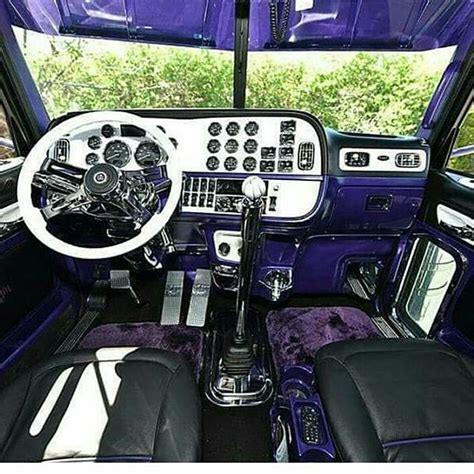 2006 Peterbilt 379 Interior Upholstery Kits | Psoriasisguru.com