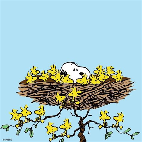 Snoopy and Woodstock | Snoopy and woodstock, Snoopy wallpaper, Snoopy