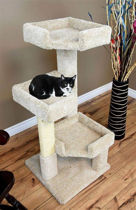 Best Cat Trees for Large Cats - 15 Choices for 2021 | Raise a Cat