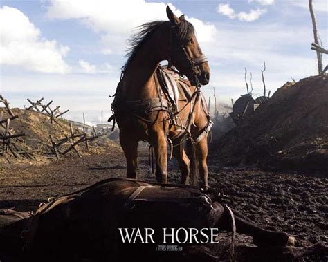 Behind the scenes of the making of War Horse the movie - Kingdom of Horses