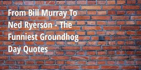 From Bill Murray To Ned Ryerson - The Funniest Groundhog Day Quotes ...