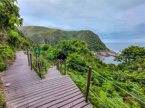 The Suspension Bridge at Tsitsikamma National Park Walk - The Scribs ...