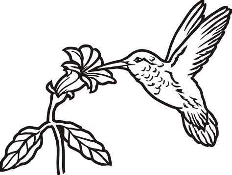 Hummingbird Stencil Printable