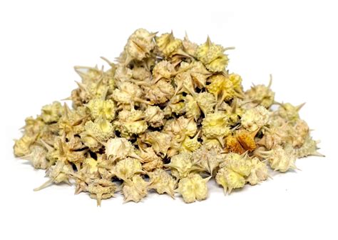 Organic Tribulus Terrestris (Gokharu) Fruits - Cultivator Natural Products