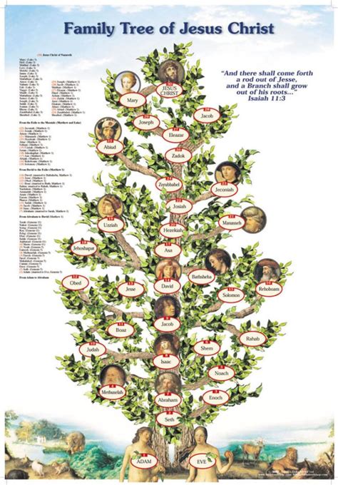 Jesus Family Tree Chart