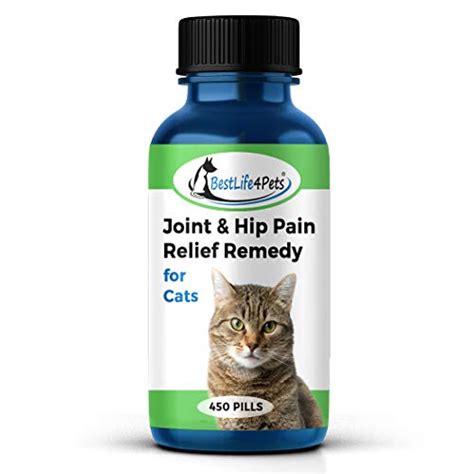 Cat Hip and Joint Pain Relief - Natural Anti-Inflammatory Remedy for ...