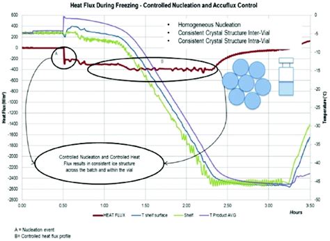 LyoPAT™: Real-Time Monitoring and Control of the Freezing and Primary ...