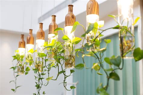 4 New Trends for Indoor Vines - Trendspot Inc.