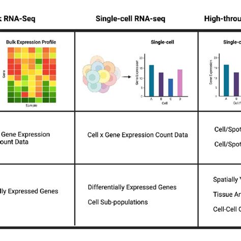 Comparison of bulk RNA-seq, single-cell RNA-seq, and high-throughput... | Download Scientific ...