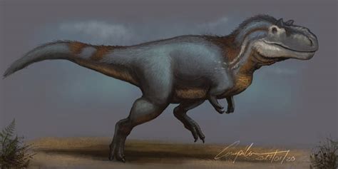 Explore the Best Albertosaurus Art | DeviantArt