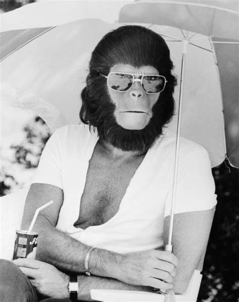 10 Little-Known Facts About 'Planet Of The Apes' - The Vintage News