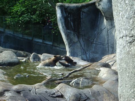 Skansen at Midsummer - part 2 (Stockholm and beyond)