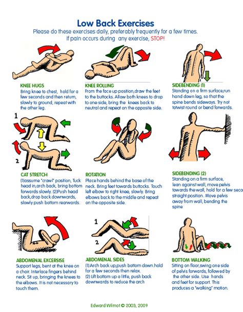 Relieve Your Lower Back Pain with Simple Strengthening Exercises ...