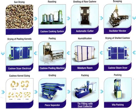 Cashew Processing Machines, Plant, Cutting Machines, India