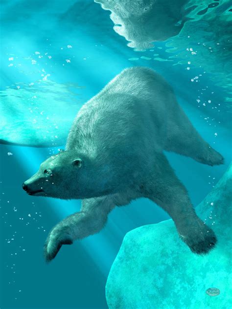 Polar Bear Underwater by deskridge on DeviantArt