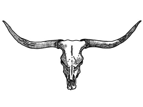 Bull tattoos, Bull skull tattoos, Cow skull drawing