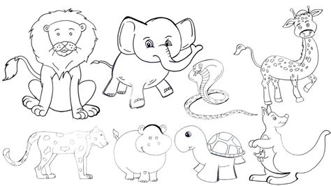 Animals Drawing For Kids ~ easy drawing cool