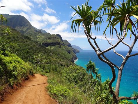 Best Hiking Trails in Kauai - Scoopsky