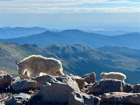 Mount Evans Scenic Byway: A Guide to the Highest Paved Road in North ...