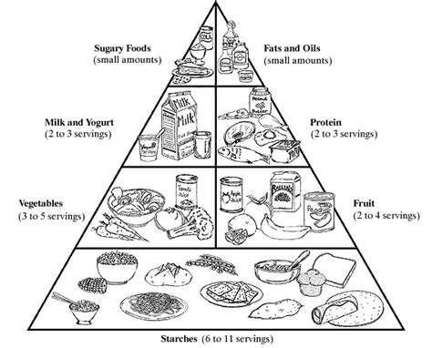 Learn The Important Basics You Need To Know About Vitamins And Minerals ...