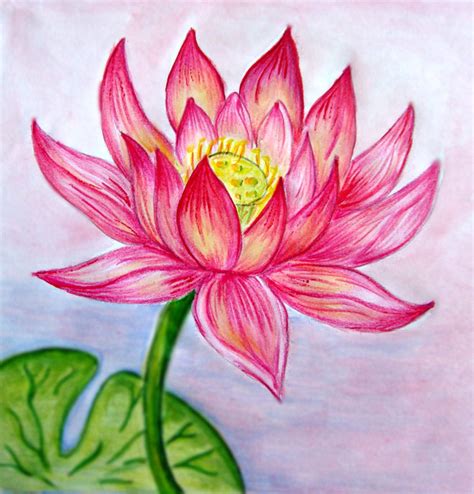 Lotus Flower Drawing - Cliparts.co