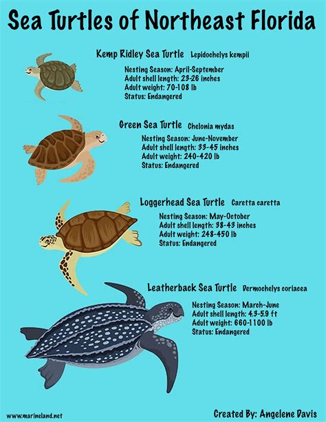 Green Sea Turtle Habitat Map