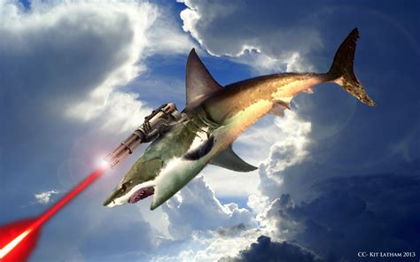 Flying Sharks With Lasers | Web Memes Collection | Pinterest | Shark ...