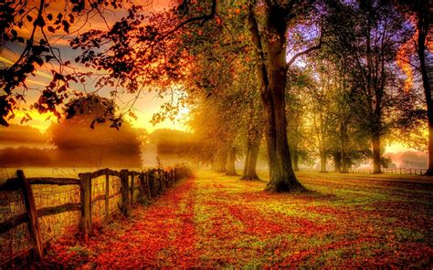 10 Latest Free Fall Screensavers Wallpaper FULL HD 1080p For PC ...