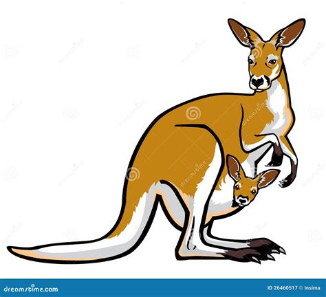 Red Kangaroo With Joey In Pouch Royalty Free Stock Photography - Image ...