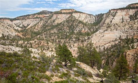 Observation Point Trail, Zion National Park Hiking - AllTrips