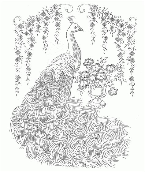 Adult Coloring Pages Peacock - Coloring Home