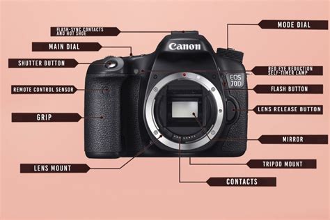 The Parts Of A DSLR Camera (In Detail) - CameraGurus