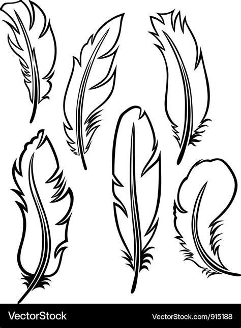 Feather set Royalty Free Vector Image - VectorStock