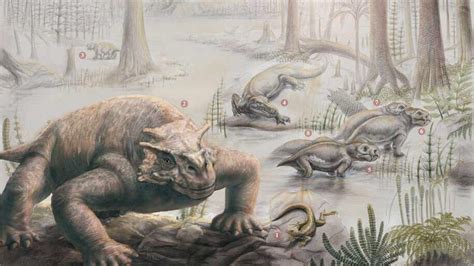 Earth Recovered 10 Million Years After Permian-Triassic Mass Extinction