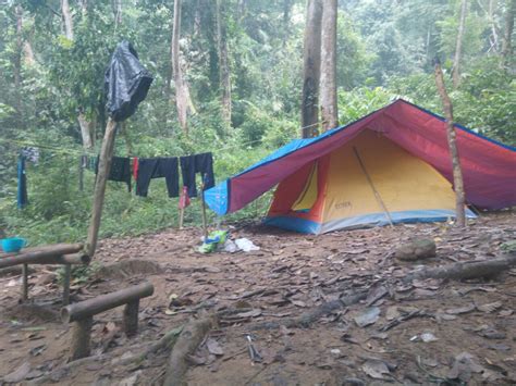 Tip Trekking Dan Camping Dalam Hutan!! - Umpan