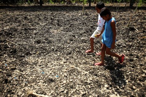 Agricultural production losses due to El Niño reach P5 billion