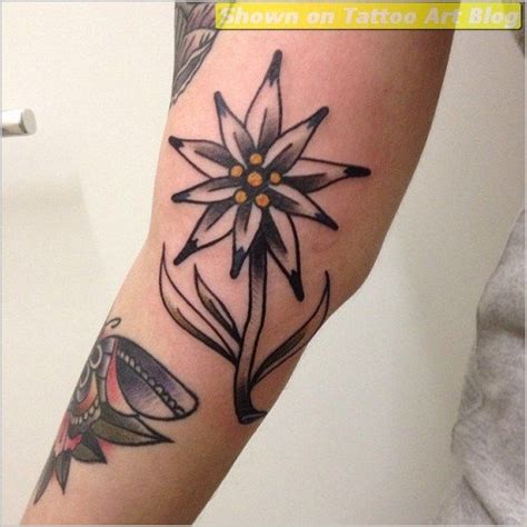 EDELWEISS TATTOO | Edelweiss tattoo, Tattoos, German tattoo