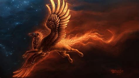 Gryphon, Griffin HD wallpaper | Pxfuel