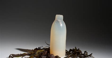 Algae Water Bottle Biodegradable « Inhabitat – Green Design, Innovation ...