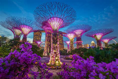 Singapore travel | Asia - Lonely Planet