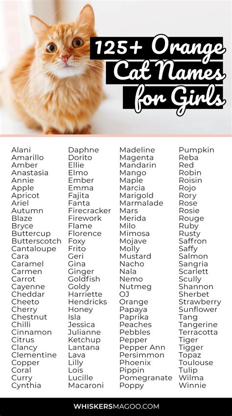 125+ Cute Orange Cat Names for Girl Cats - Whiskers Magoo | Girl cat ...